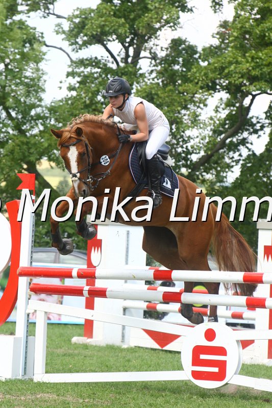 308M0317_Samba Samin_Springpferde_L.JPG